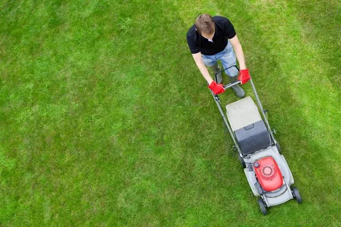 Achieve a Professional Lawn: How to Choose the Best Mower and Cutting Tools